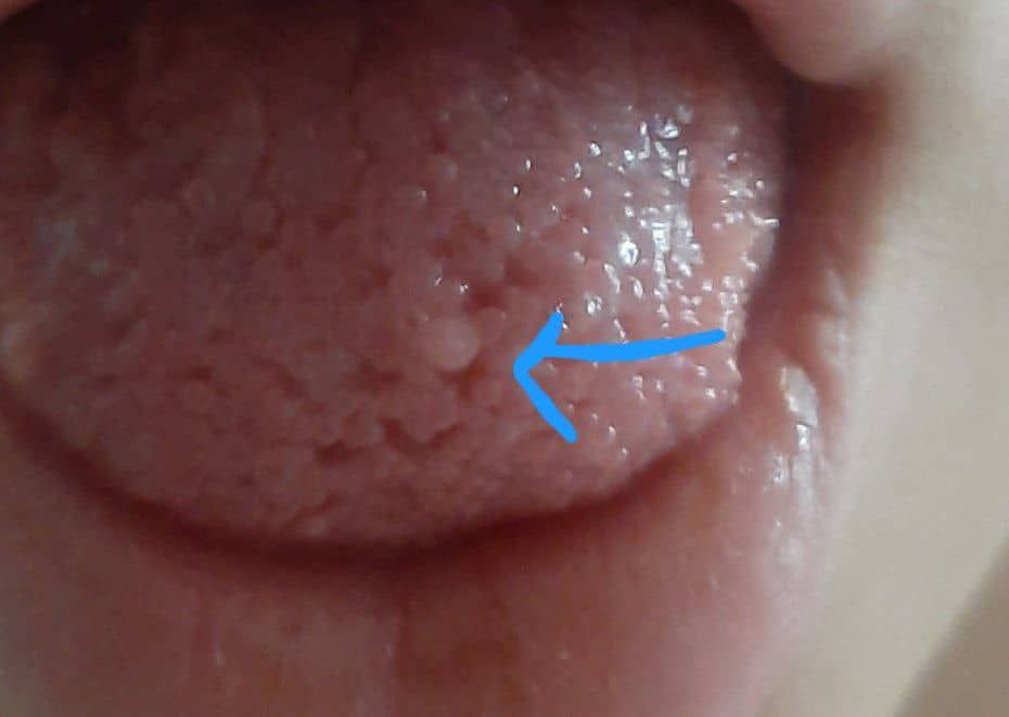 عکس مطب